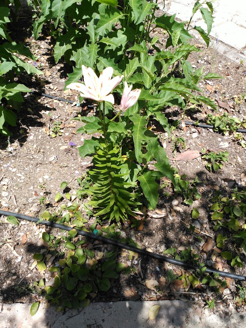 Residencia de Ancianos San Juan Evangelista — foto 3