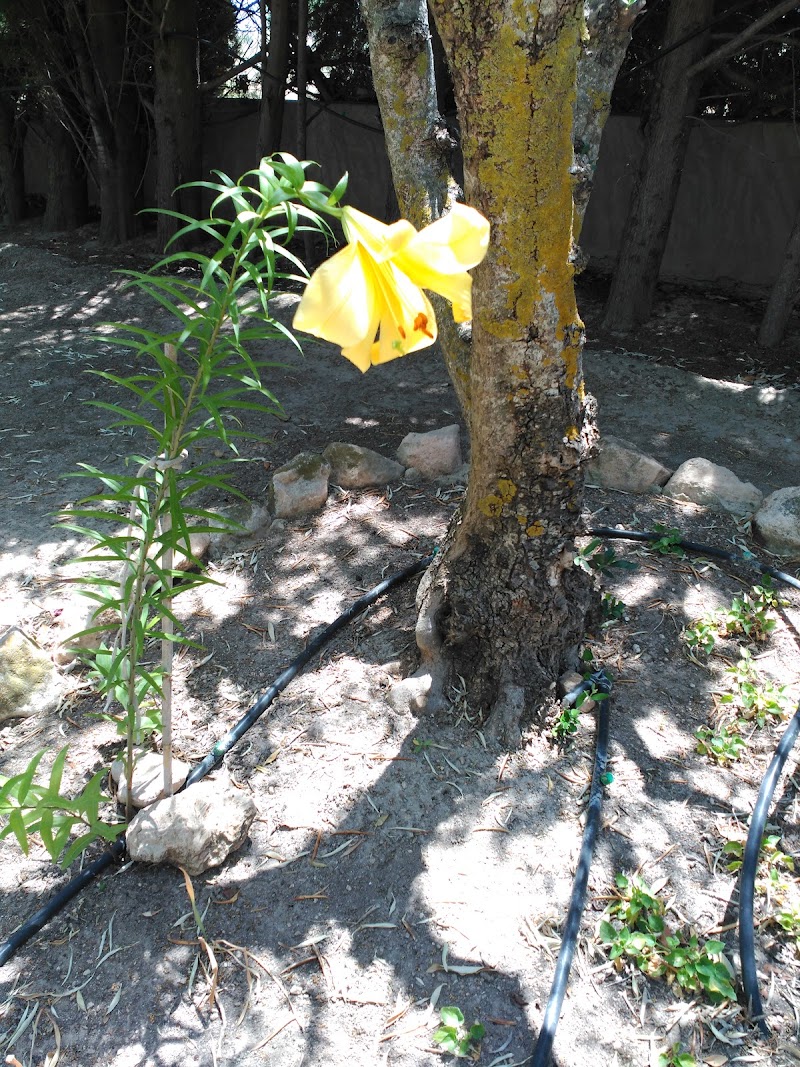 Residencia de Ancianos San Juan Evangelista — foto 4