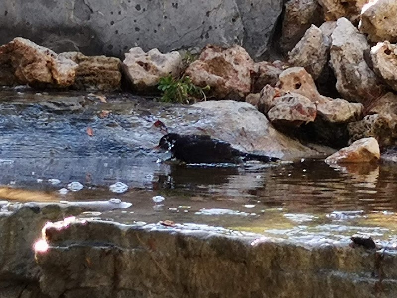 Residencia de 3ª edad Villa de Altea - Les Boqueres — foto 5