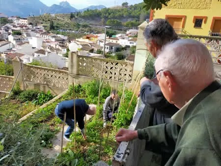 Fundación Asilo Hospital de Callosa d'En Sarrià — foto 2