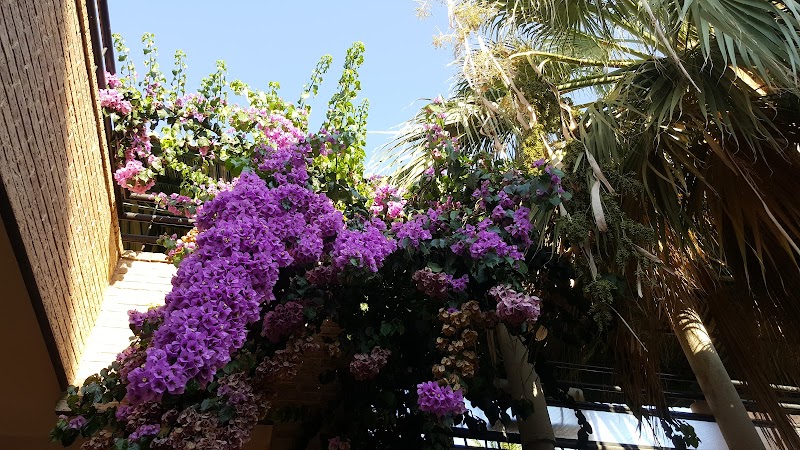 Asilo Hogar San José — foto 3