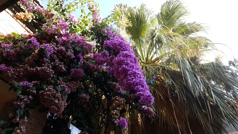 Asilo Hogar San José — foto 6