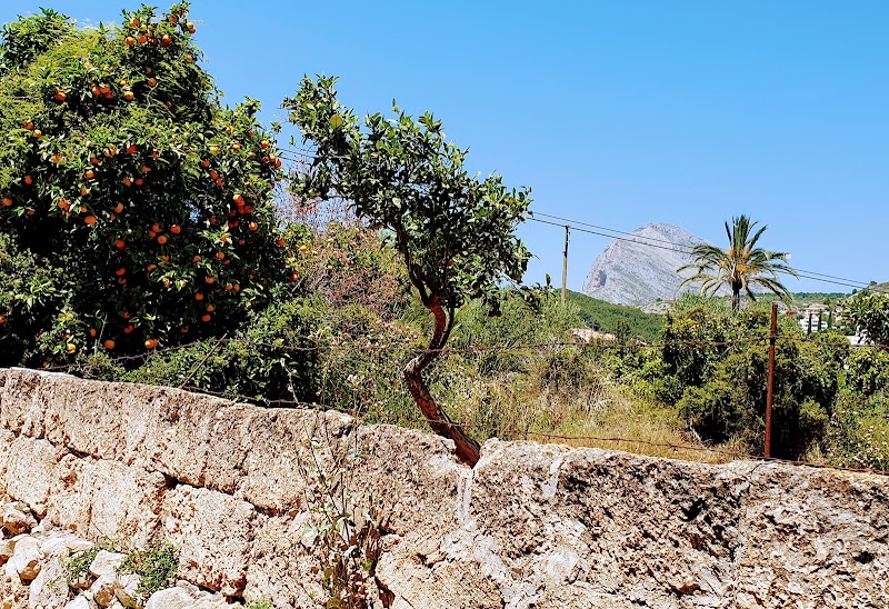 Fundación Residencia Asilo Hermanos Cholbi de Jávea — foto 6