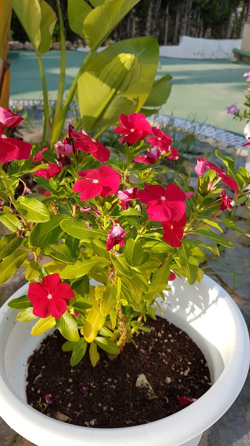 Residencia geriátrica Odamar, S. L.