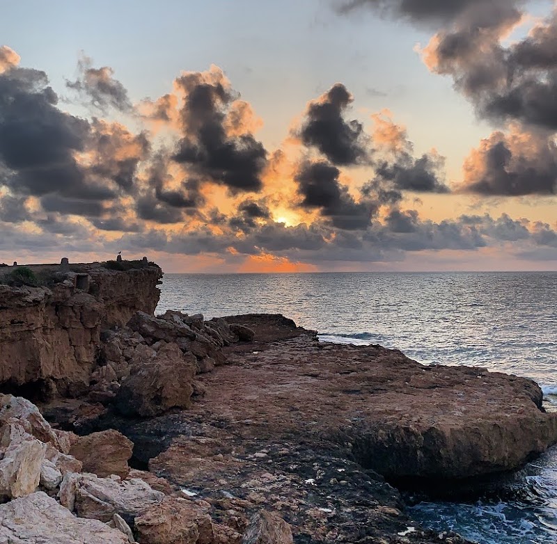 Residencia Mar Bella — foto 2