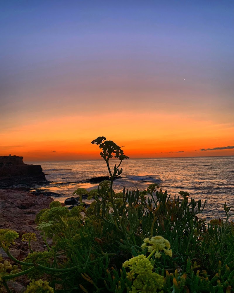 Residencia Mar Bella — foto 6