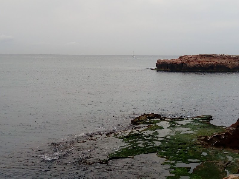 Residencia Mar Bella — foto 7