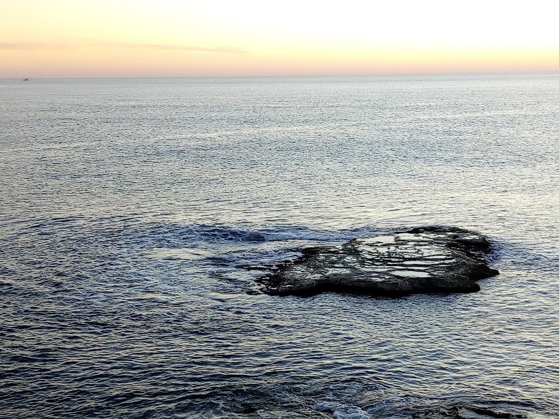 Residencia Mar Bella — foto 10