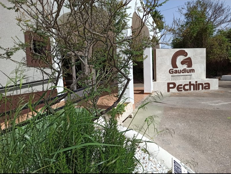 Residencia Cortijo El Limonero — foto 6