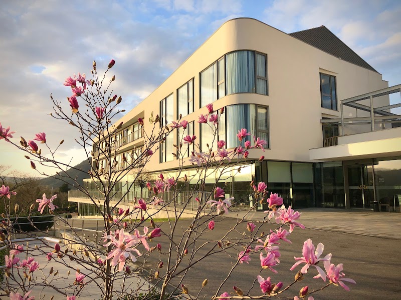 Residencia Alday — foto 5