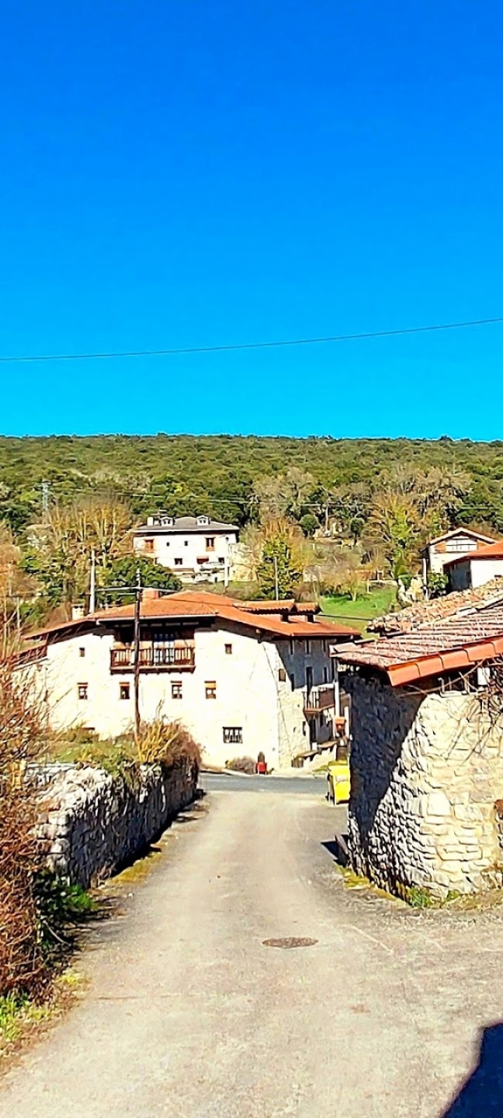 Residencia Ribera Alta — foto 8