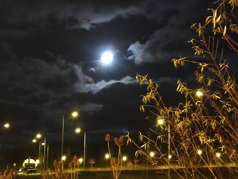 Vivienda comunitaria Agure Salburua — foto 2