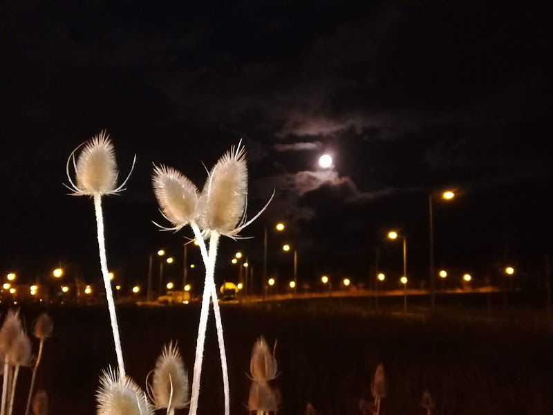 Vivienda comunitaria Agure Salburua — foto 6