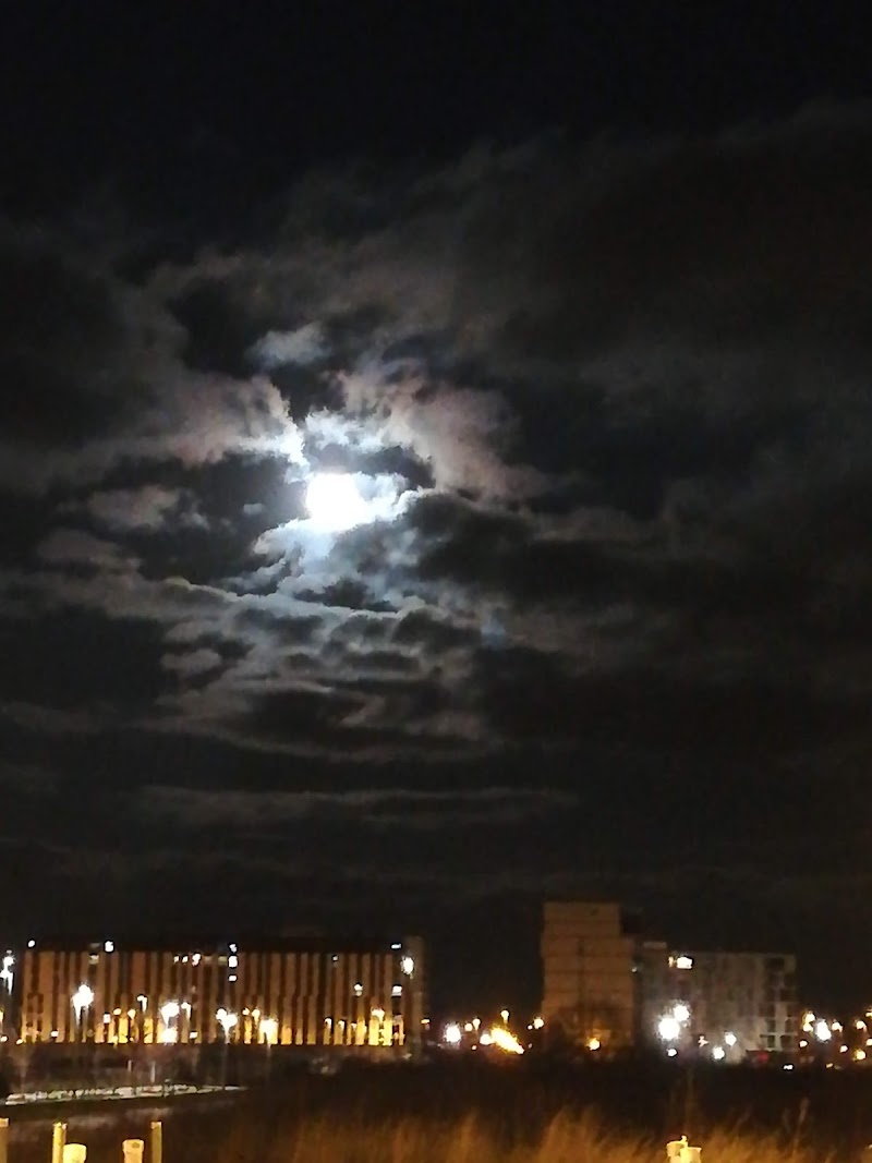 Vivienda comunitaria Agure Salburua — foto 8