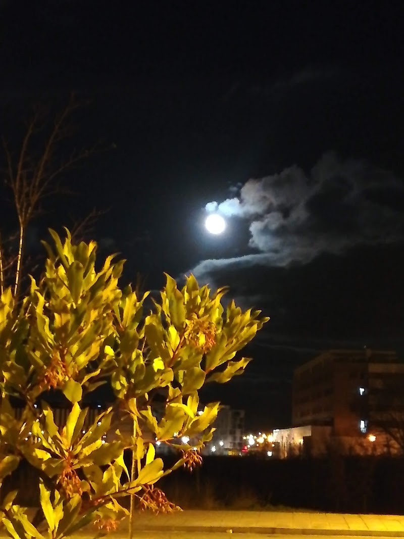 Vivienda comunitaria Agure Salburua — foto 10