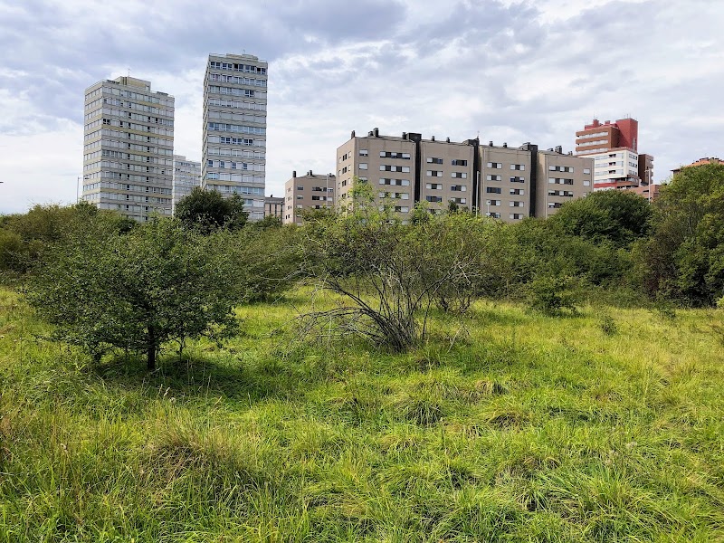 Residencia Tagore — foto 1