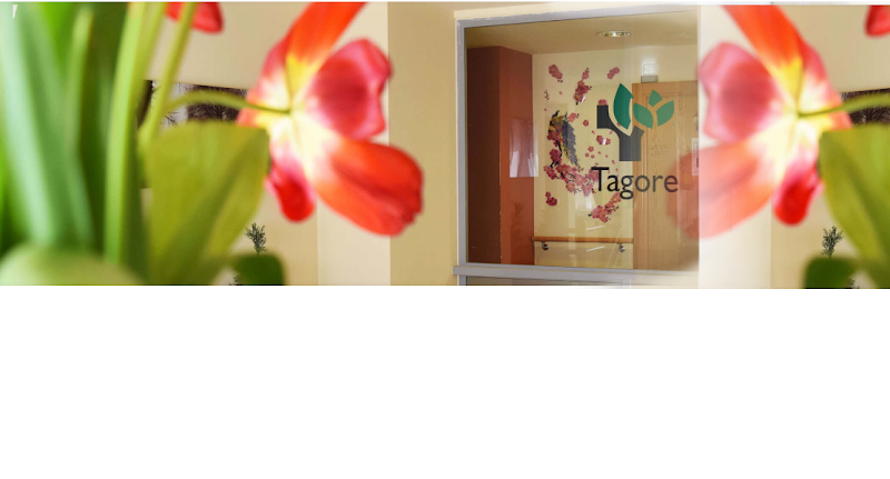 Residencia Tagore — foto 2