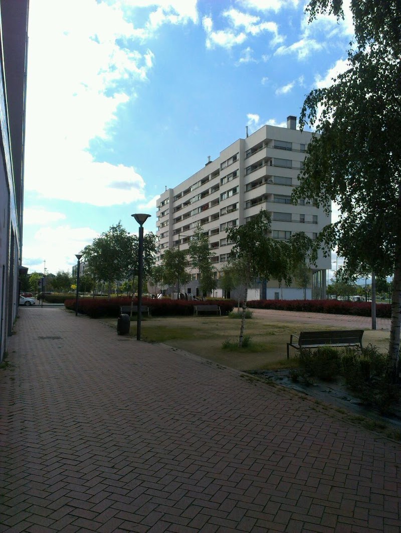 Residencia Tagore — foto 3