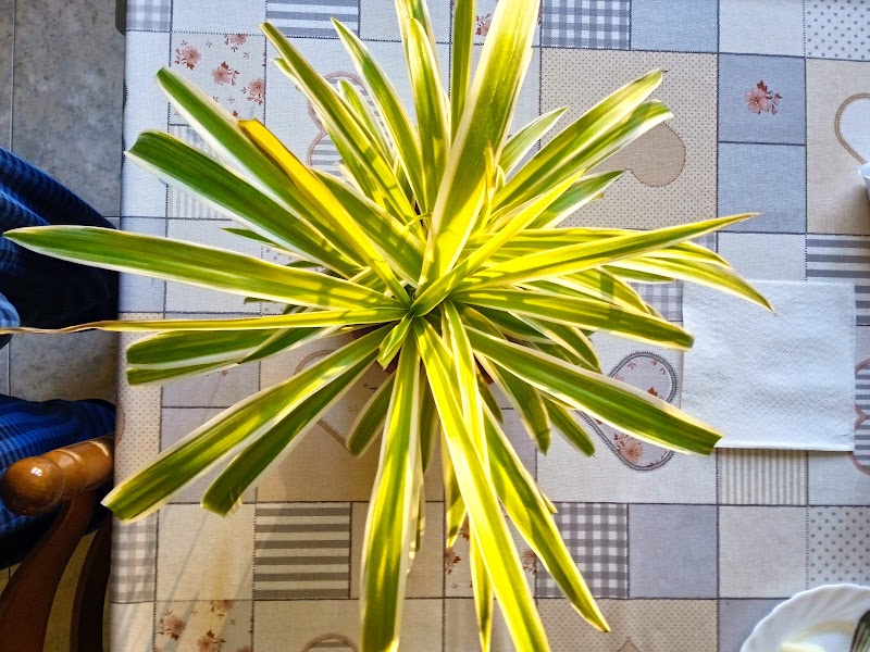 Residencia Lorea Adurtza — foto 3