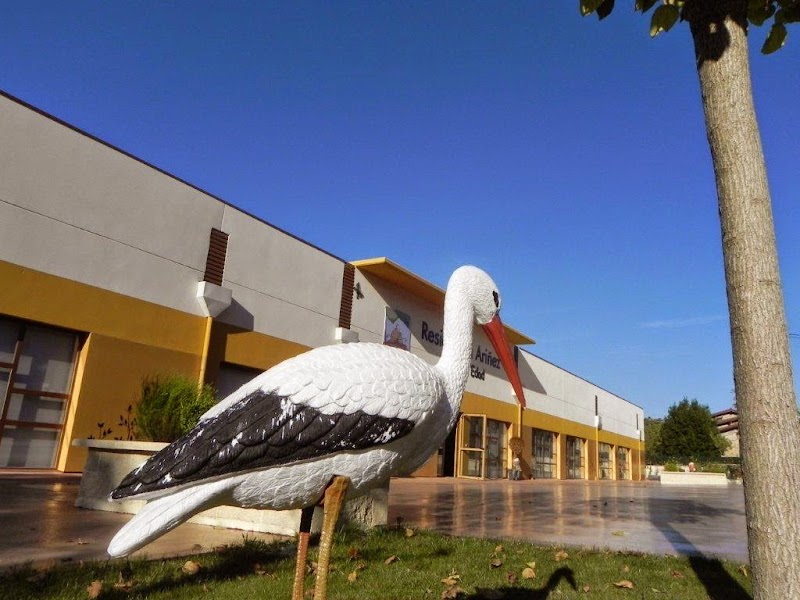 Residencia Ariñez — foto 9