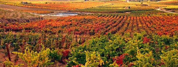 Residencia Yécora — foto 7