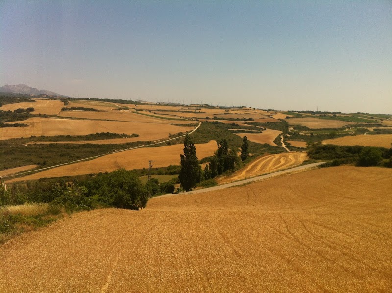 Residencia Yécora — foto 8