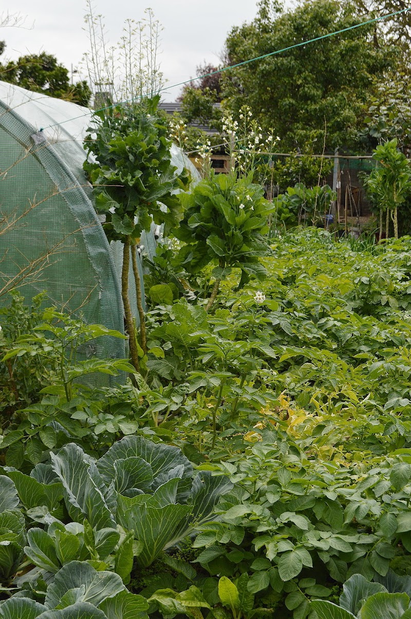 Residencia San Nicolás — foto 5