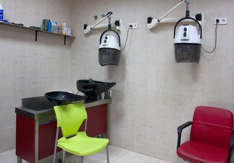 Gerontológico Jovellanos — foto 8