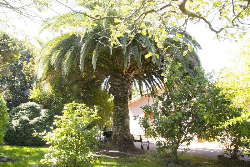 Residencia de 3ª edad Quinta Victoria — foto 4