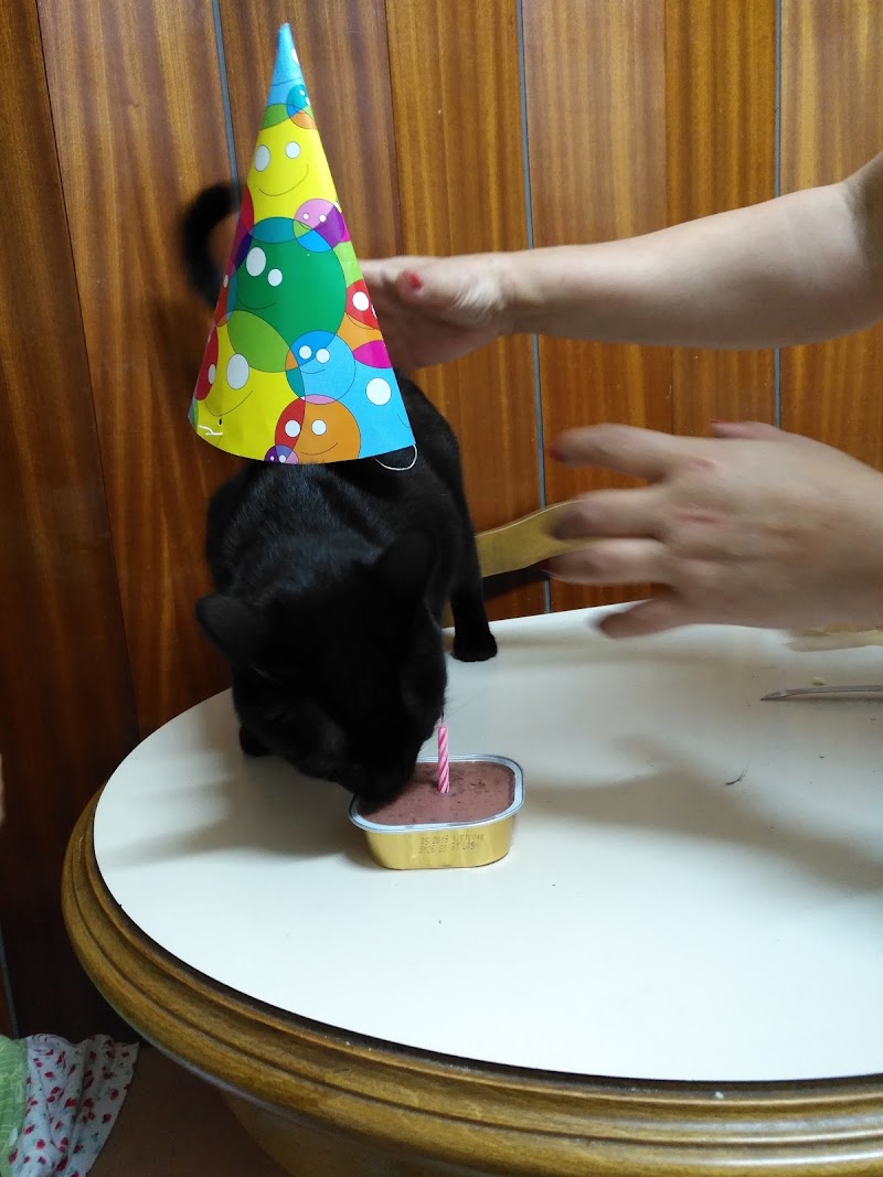 Residencia geriátrica Cristo de la Abadía — foto 4