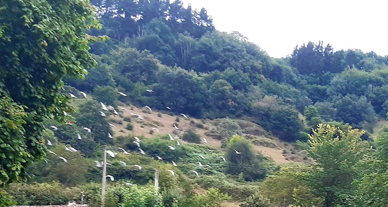 Fundación Residencia Canuto Hevia — foto 6