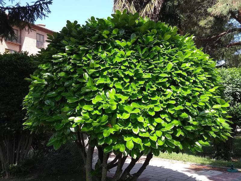 Residencia de ancianos San Miguel Arcángel — foto 5