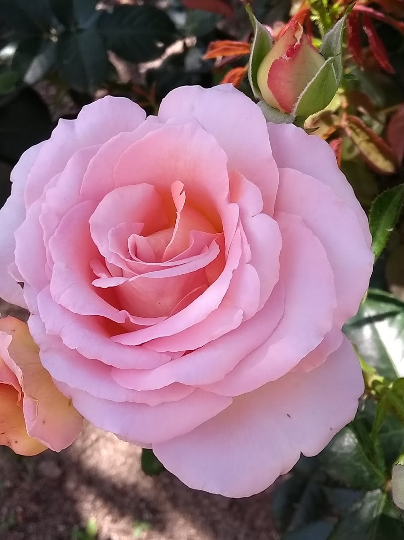 Residencia de ancianos San Miguel Arcángel — foto 6