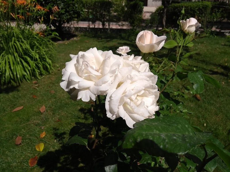 Residencia de ancianos San Miguel Arcángel — foto 8