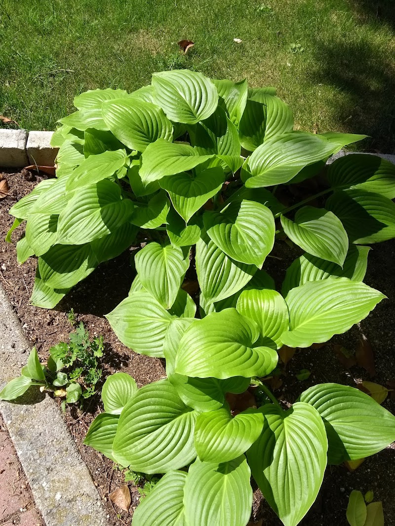 Residencia de ancianos San Miguel Arcángel — foto 9