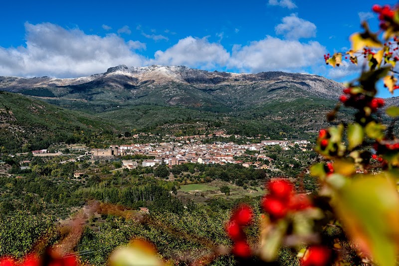 Residencia El Pinar — foto 7