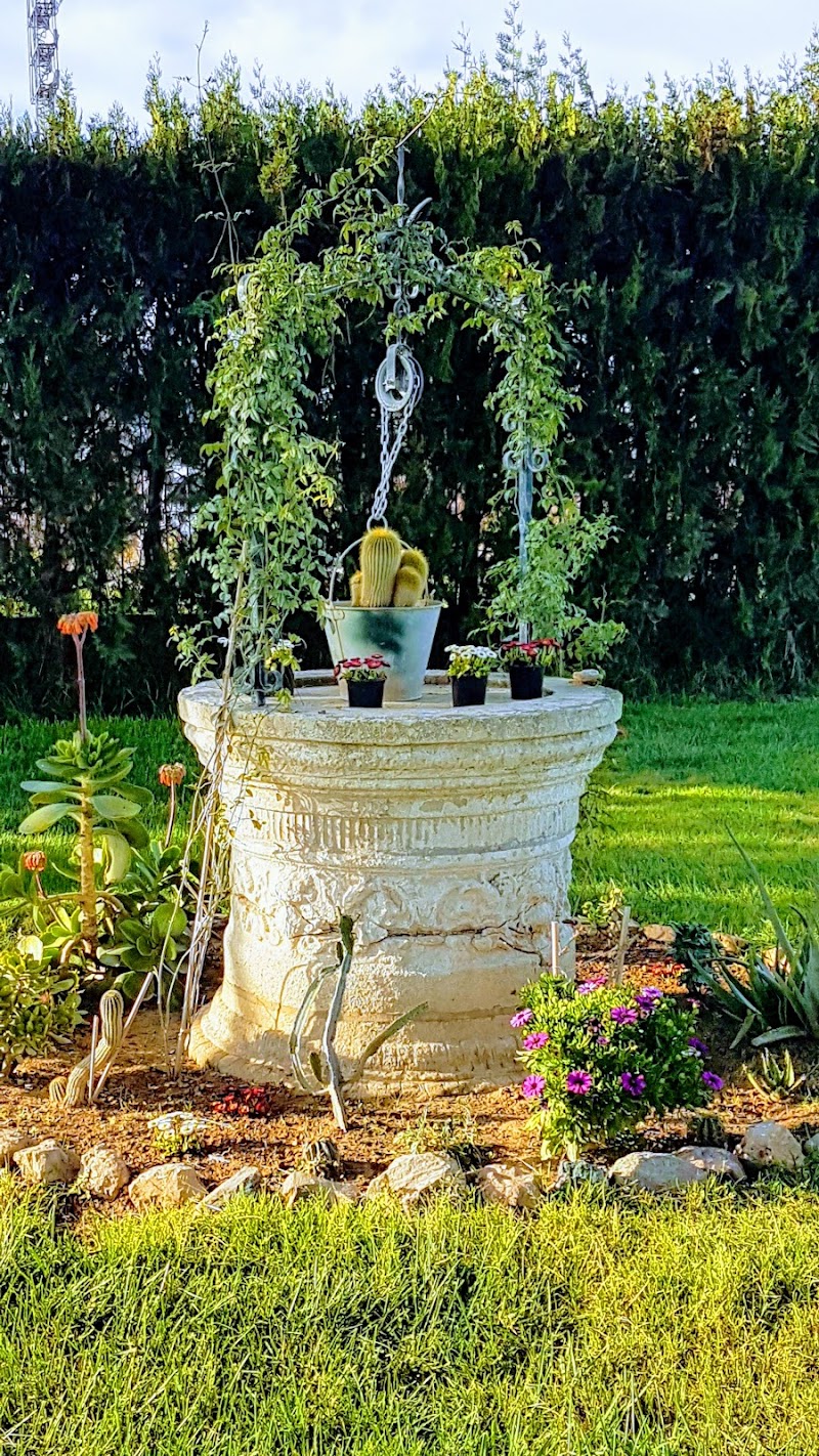 Residencia Nuestra Señora de la Soledad - Hermanitas de los Ancianos Desemparados — foto 4