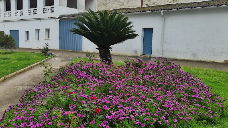 Hogar Santa Teresa Jornet — foto 4