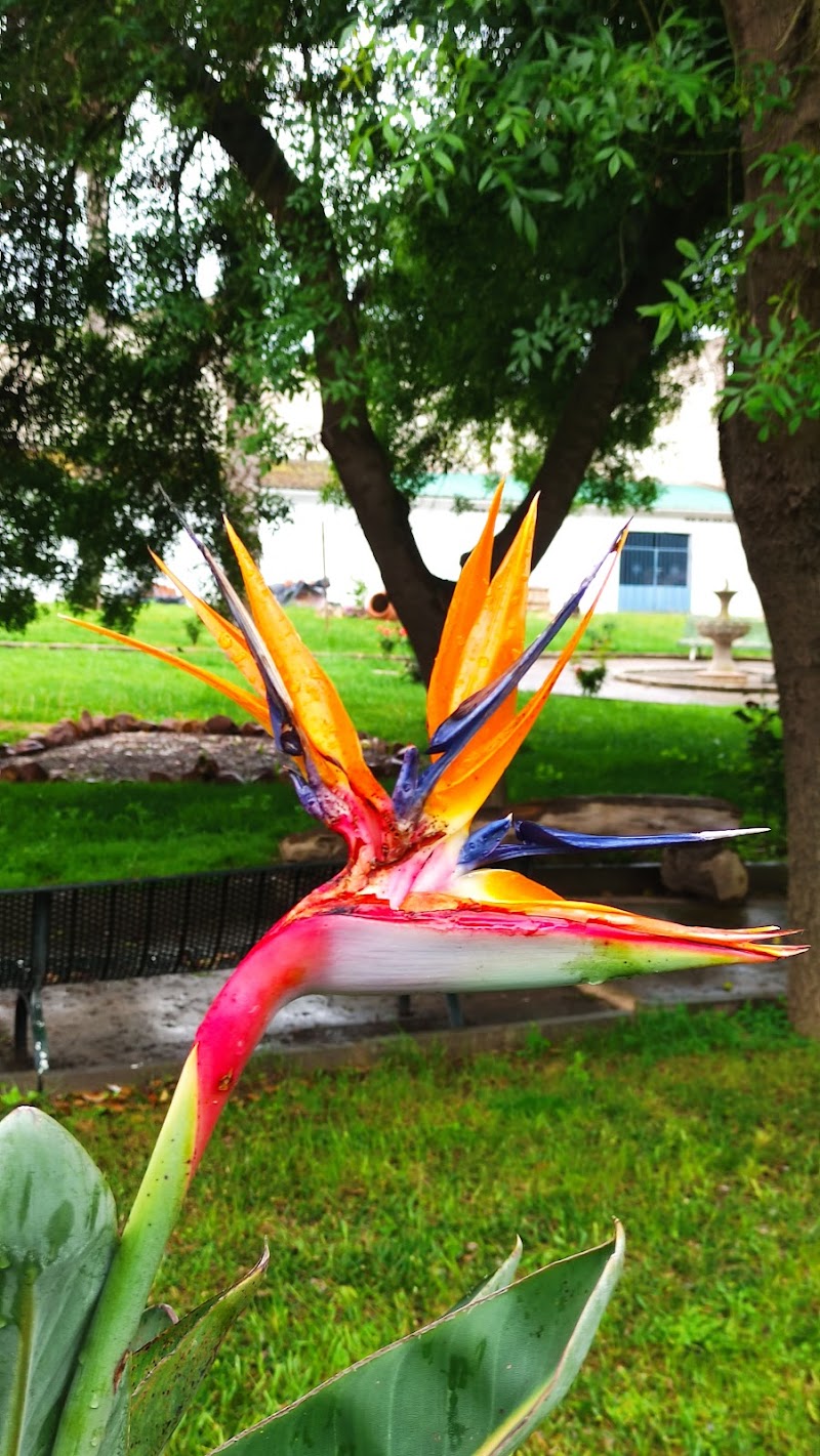 Hogar Santa Teresa Jornet — foto 6