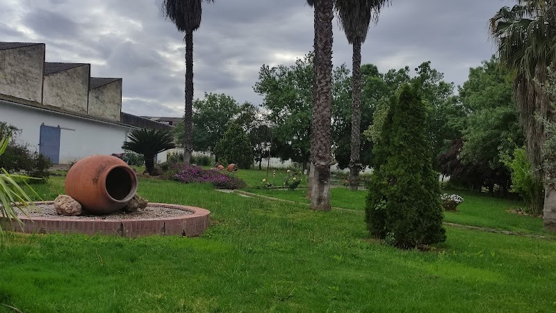 Hogar Santa Teresa Jornet — foto 9