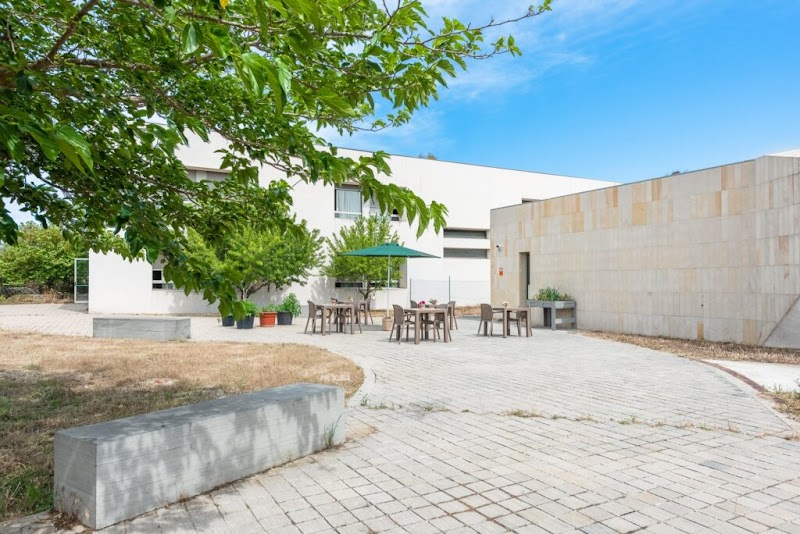 Seniors Montuïri — foto 1