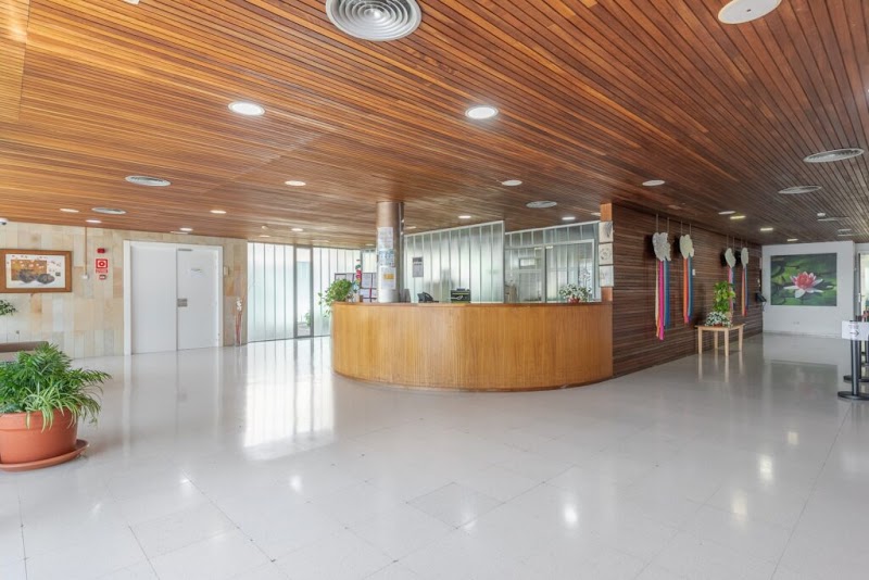 Seniors Montuïri — foto 6