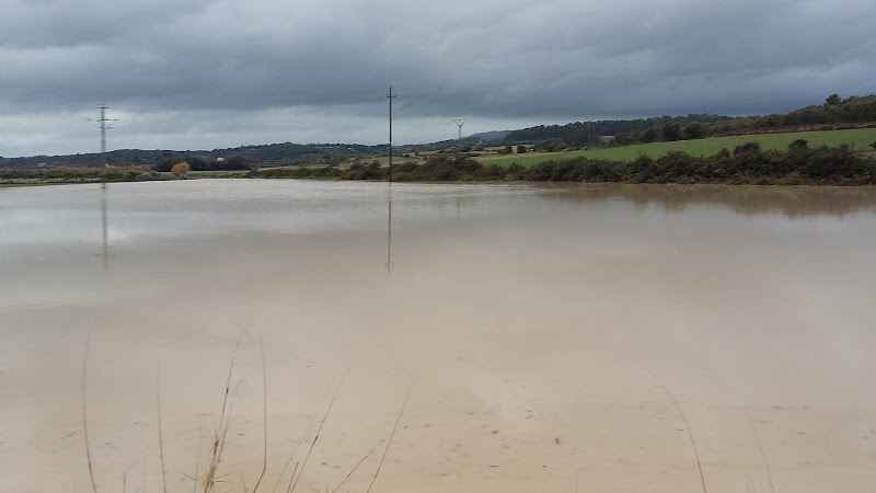 Seniors Montuïri — foto 10