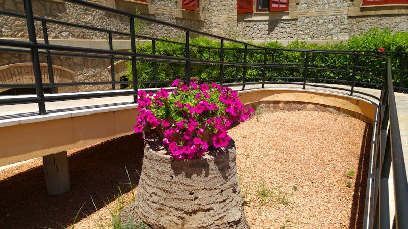 Casa de ancianos Hermanitas de los Pobres — foto 6