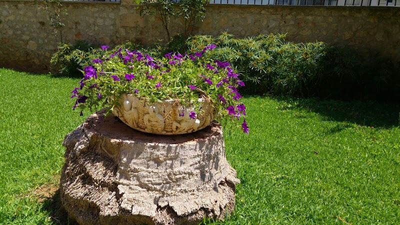 Casa de ancianos Hermanitas de los Pobres — foto 7