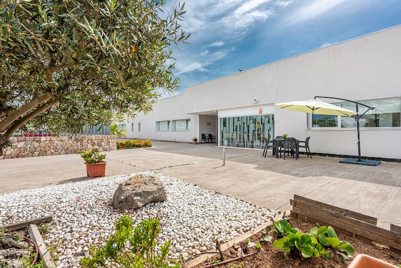 Seniors Pollença — foto 1