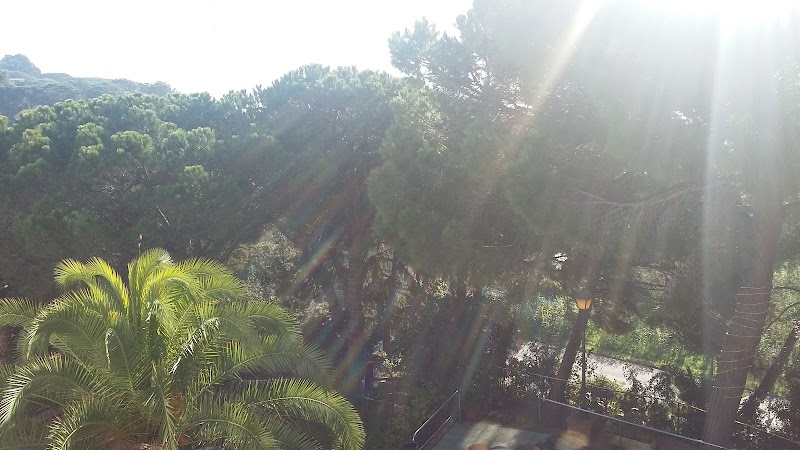 Centre assistencial Impala — foto 4