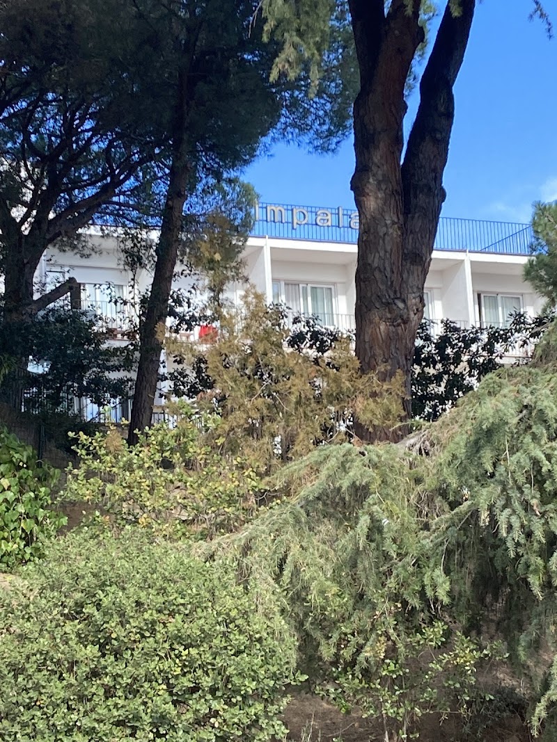 Centre assistencial Impala — foto 7