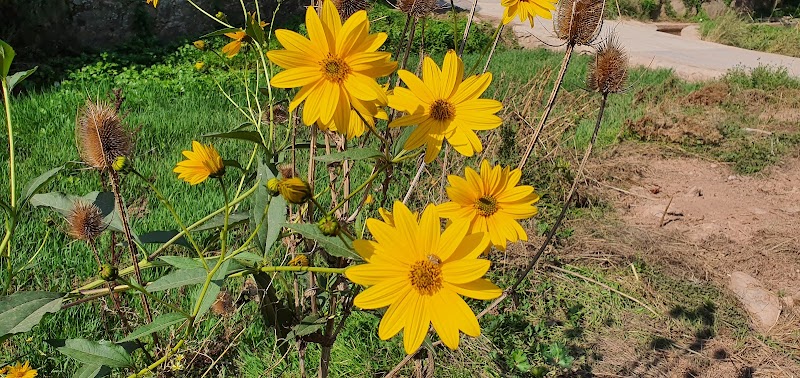 Residència Sant Víctor — foto 5