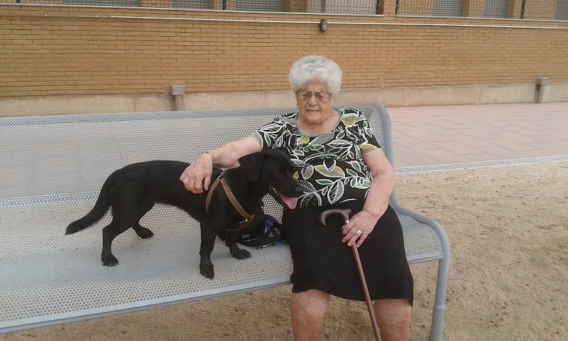 Residència Sant Víctor — foto 10